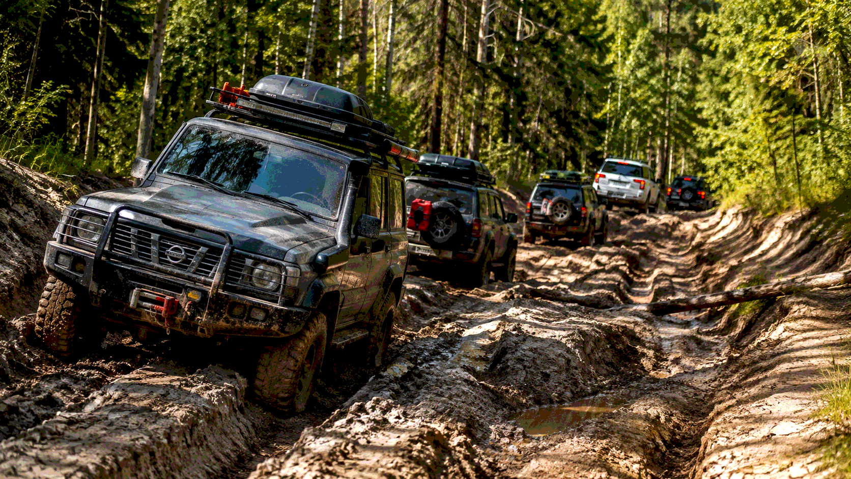 Трофи Лайф 4×4. Фряновские колеи — Фряново, Московская область